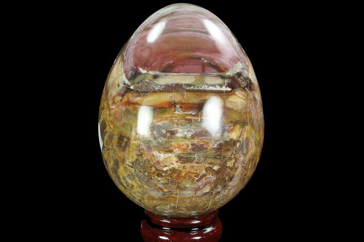 Colorful, Polished Petrified Wood Egg - Triassic #92996